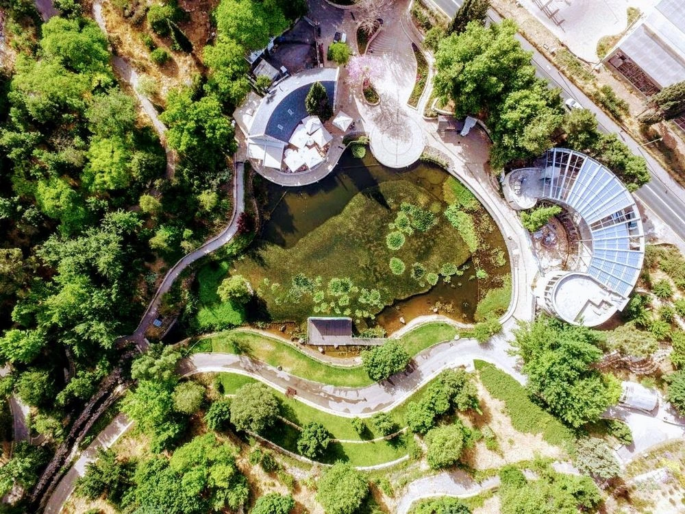 Pool from above