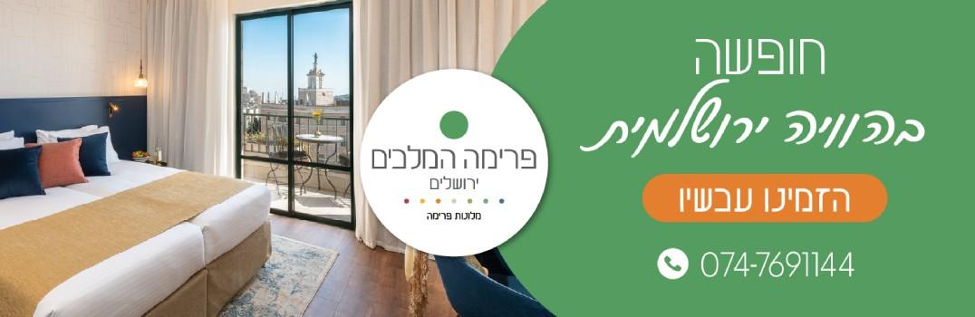 prima kings - banner