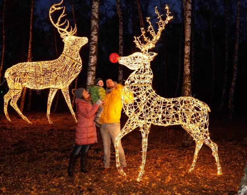  Winter Dreams בגן הבוטני ב - ₪89 במקום ₪119