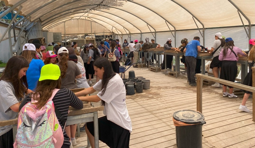 צילום של חוויה ארכיאולוגית לכל המשפחה: סינון עפר מהר הבית