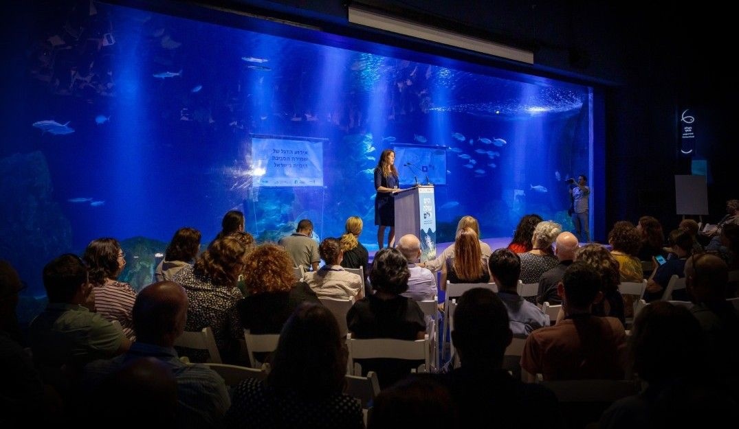 photo of A.lef prodcutions