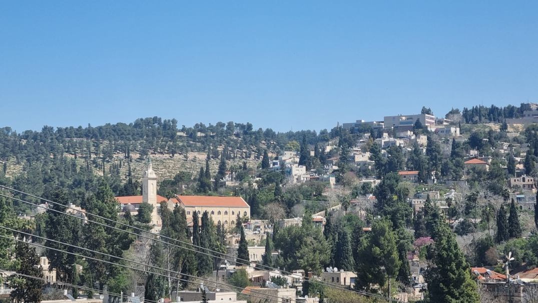 צילום של סיור בוטיק פרטי ומודרך בעין כרם: פסטורליה, טבע ואומנות עם טלי יהושע