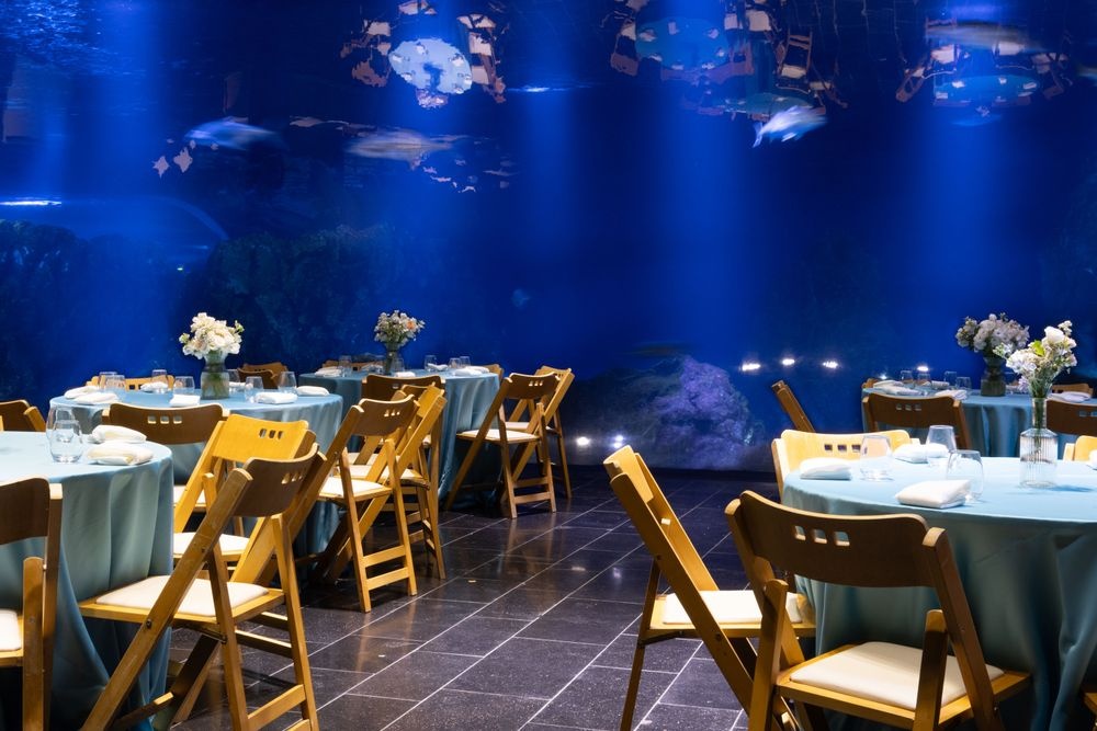 photo of The Gottesman Family Israel Aquarium 