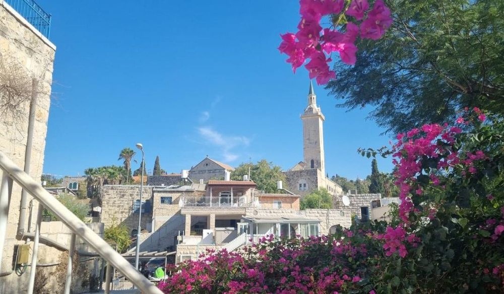 צילום של סיור בוטיק פרטי ומודרך בעין כרם: פסטורליה, טבע ואומנות עם טלי יהושע
