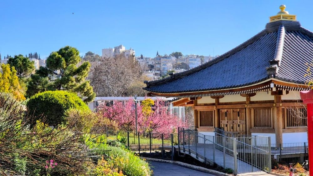 photo of The Jerusalem Botanical Gardens