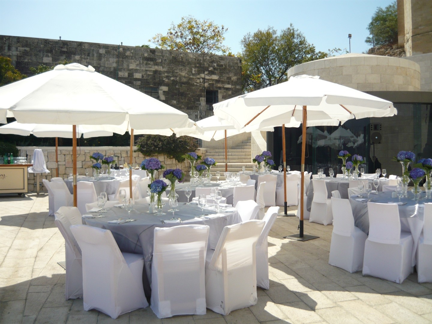 צילום של טרסה