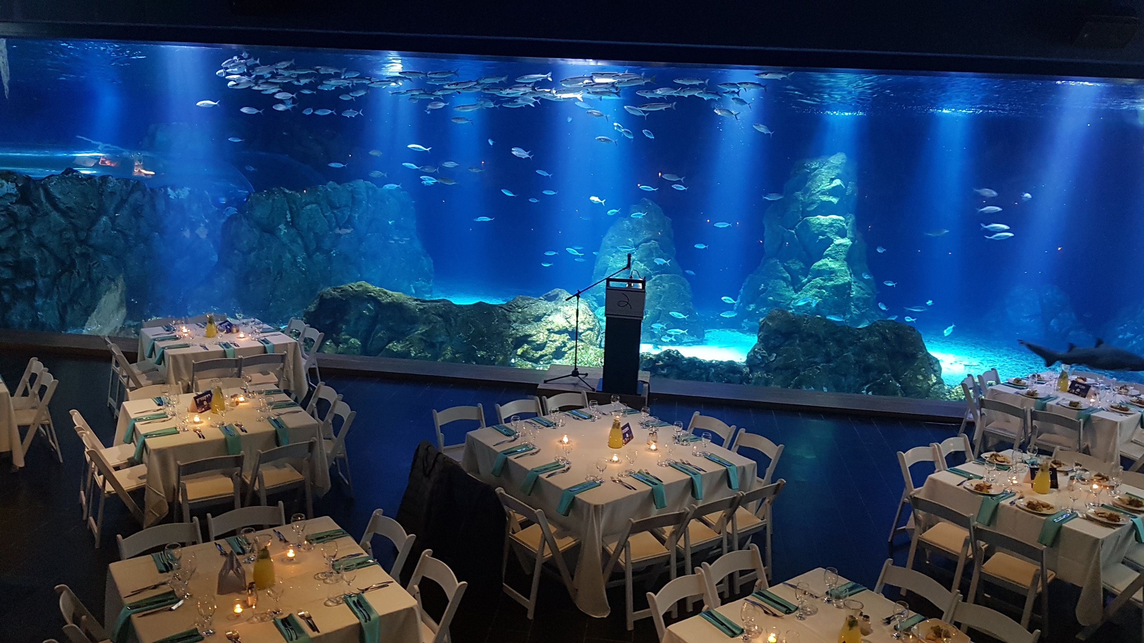 photo of The Gottesman Family Israel Aquarium 