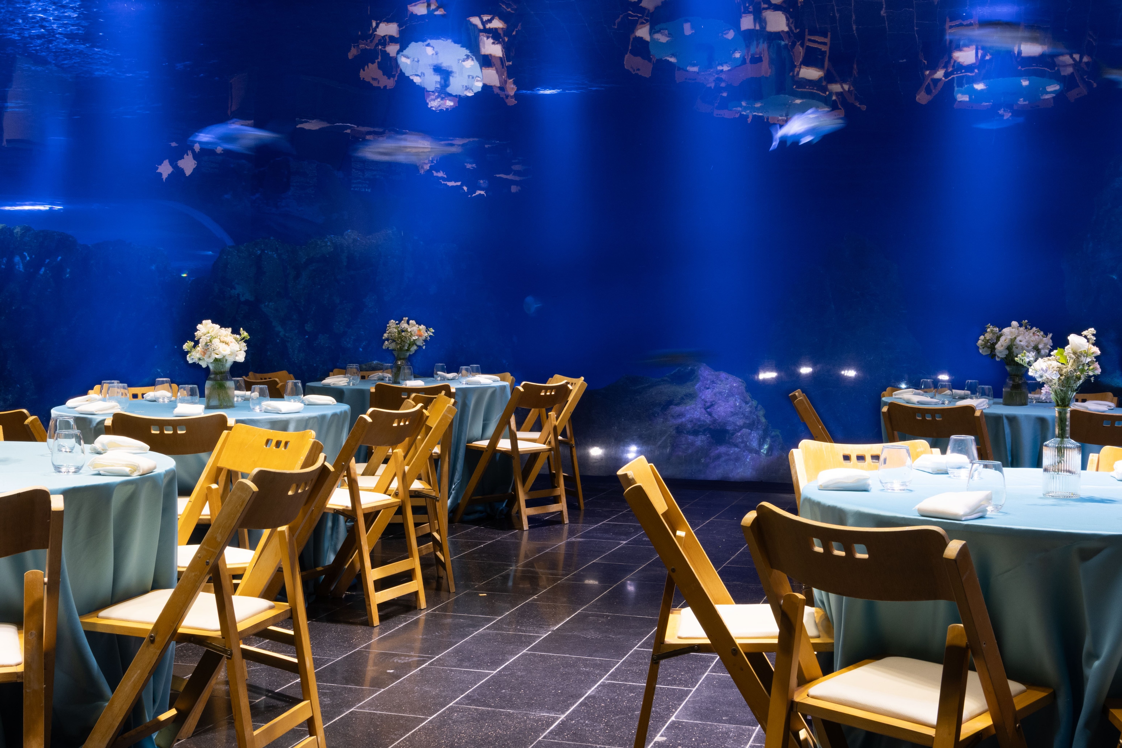 photo of The Gottesman Family Israel Aquarium 