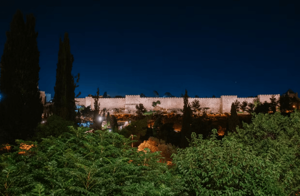 צילום של אמיל בוטה