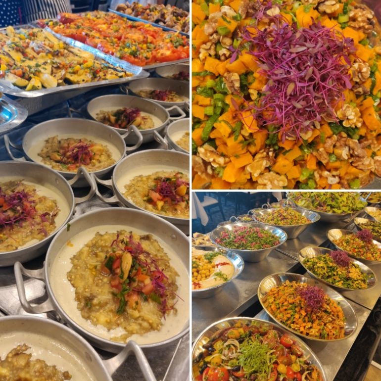 photo of Olive Tree Hotel