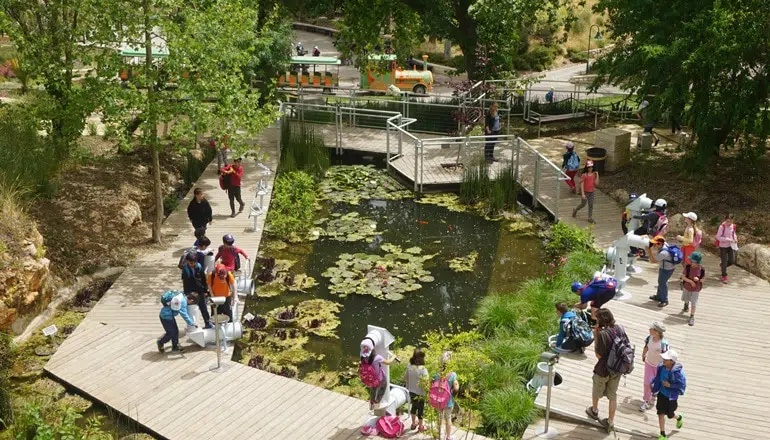 photo de Le jardin botanique